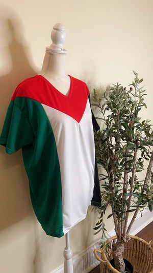 Palestinian Jersey Sport T-Shirt