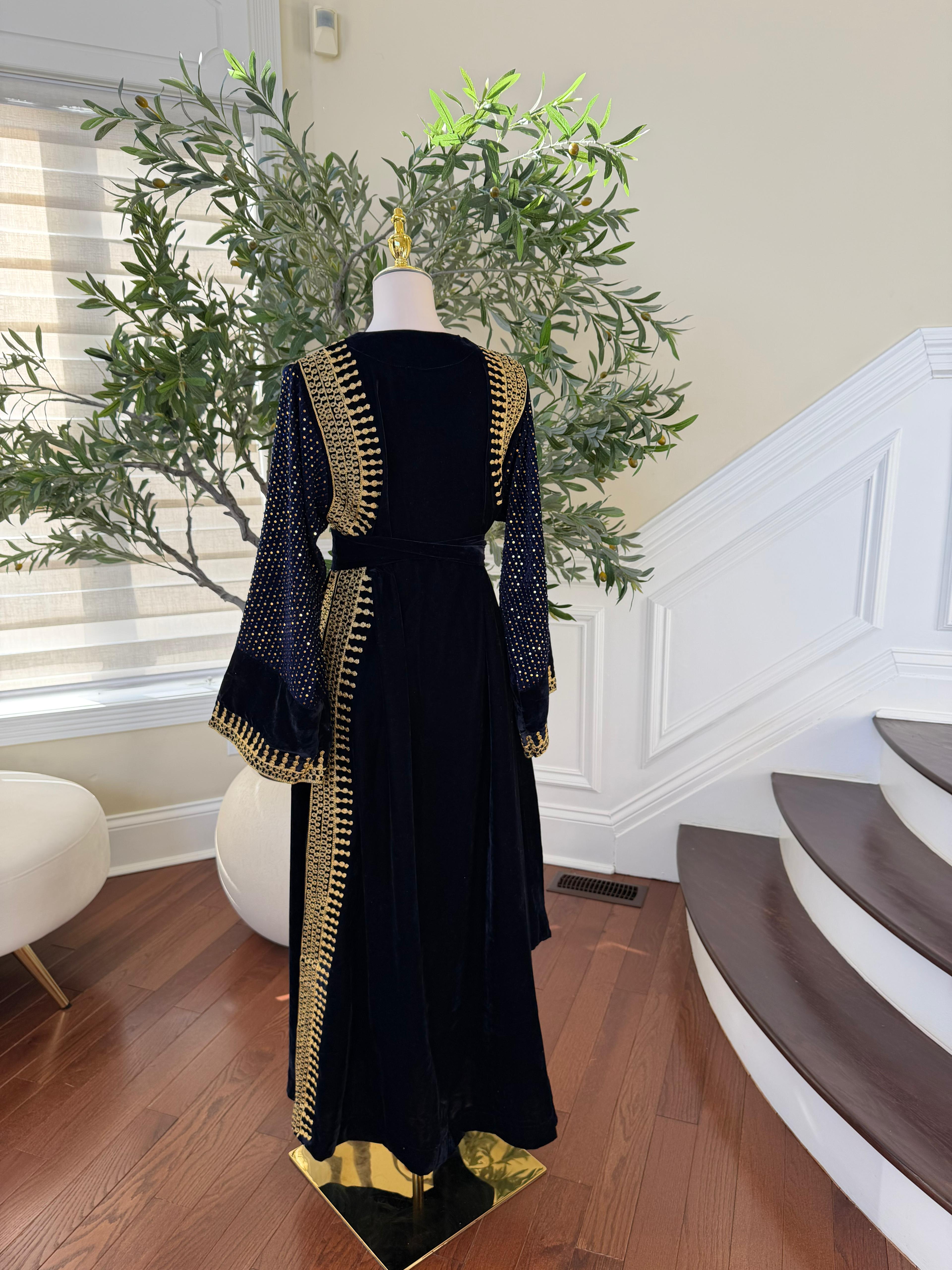 Navy Blue Velvet Celestial Gold Dress