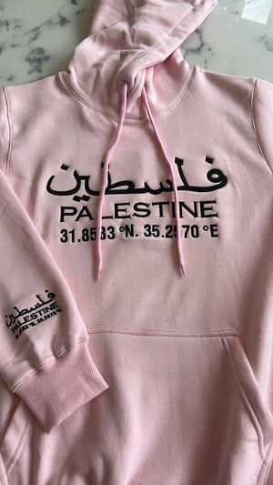 Palestine Pride Hoodie Sweatshirt