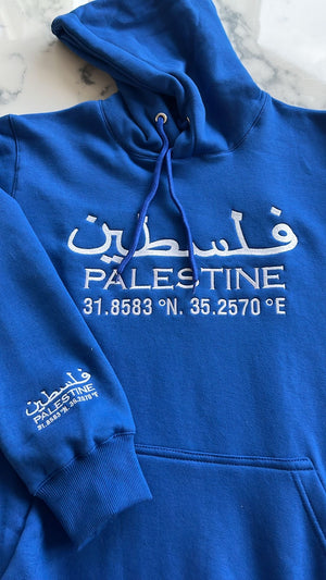 Palestine Pride Hoodie Sweatshirt