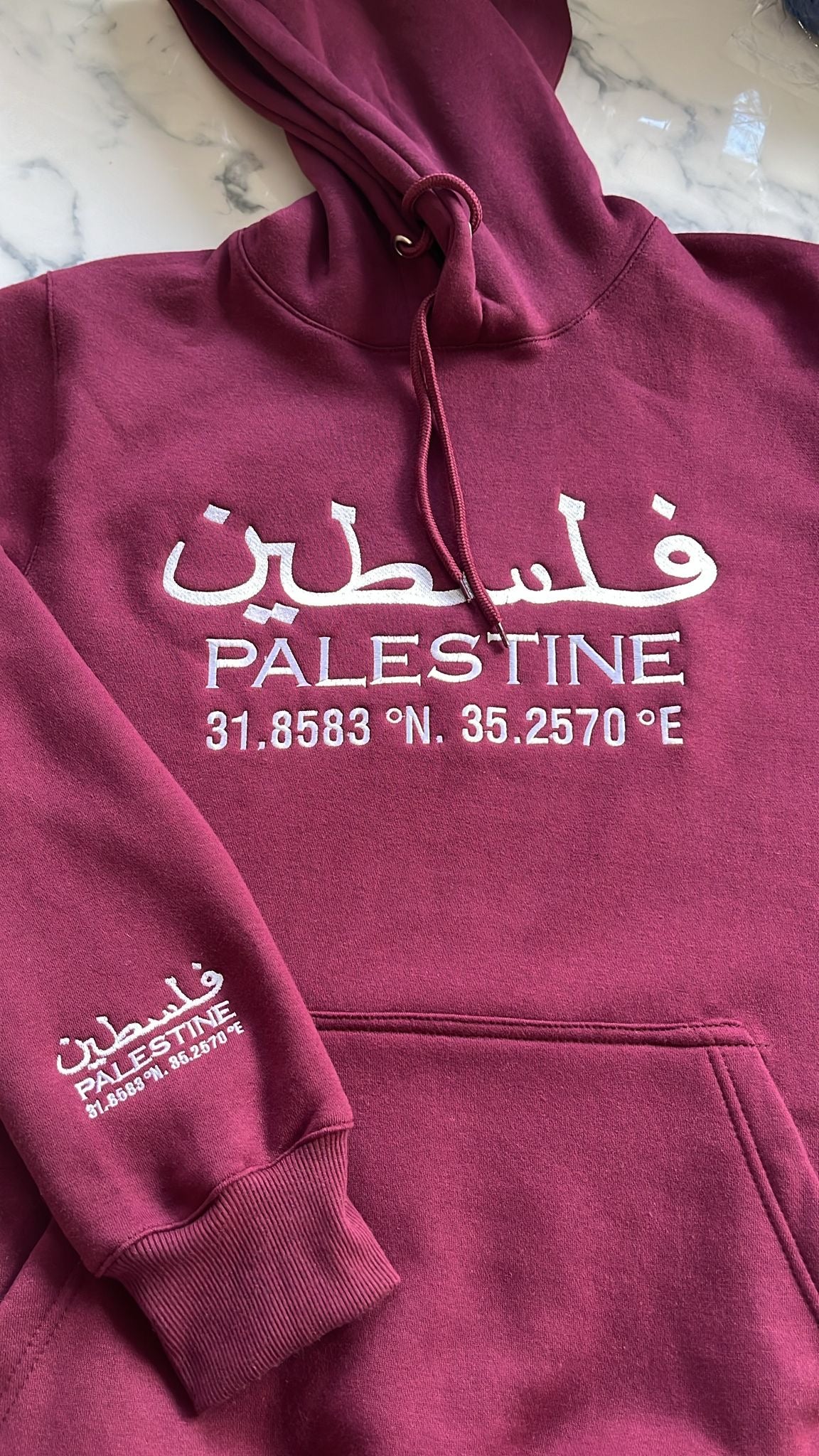 Palestine Pride Hoodie Sweatshirt