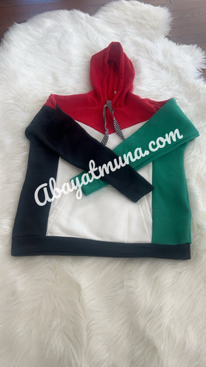 Palestine Flag Hoodie /12317421