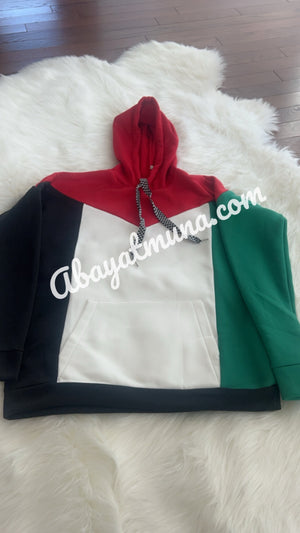 Palestine Flag Hoodie /12317421