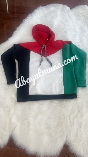 Palestine Flag Hoodie /12317421