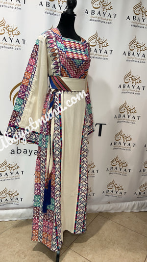 Elegant Etameen Beautiful Traditional -124319