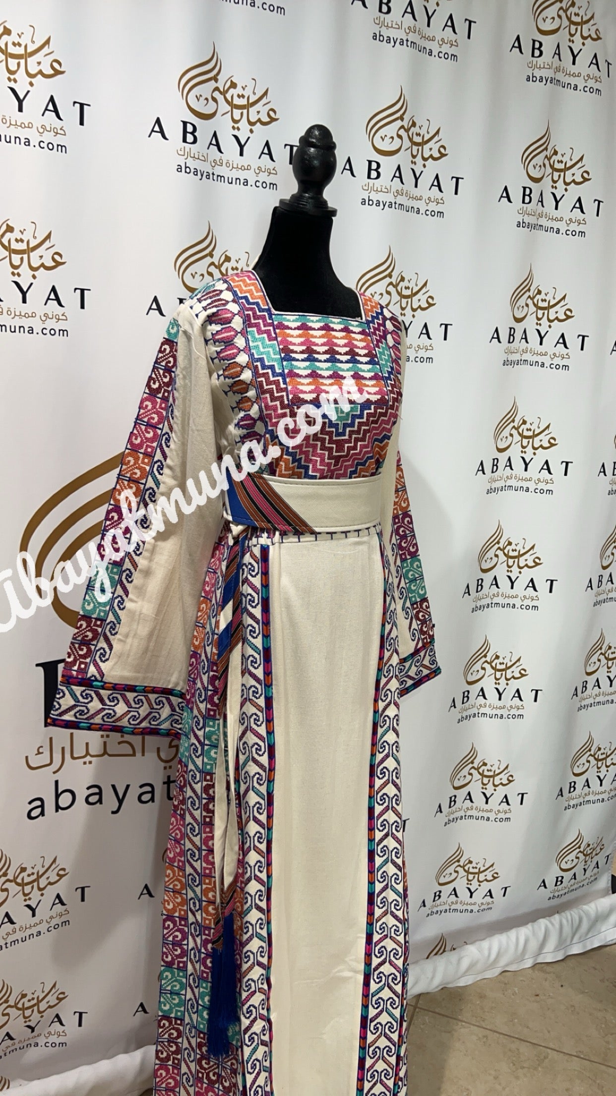 Elegant Etameen Beautiful Traditional -124319